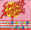 Cover: Spider Murphy Gang - Spider Murphy Gang / Ich sch dich an / So a schöner Tag