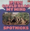 Cover: Spotnicks, The - If You Could Read My Mind