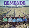 Cover: The Osmonds - The Osmonds / Osmonds