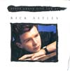 Cover: Rick Astley - Never Gonna Giove You Up  (voc. / instr.)